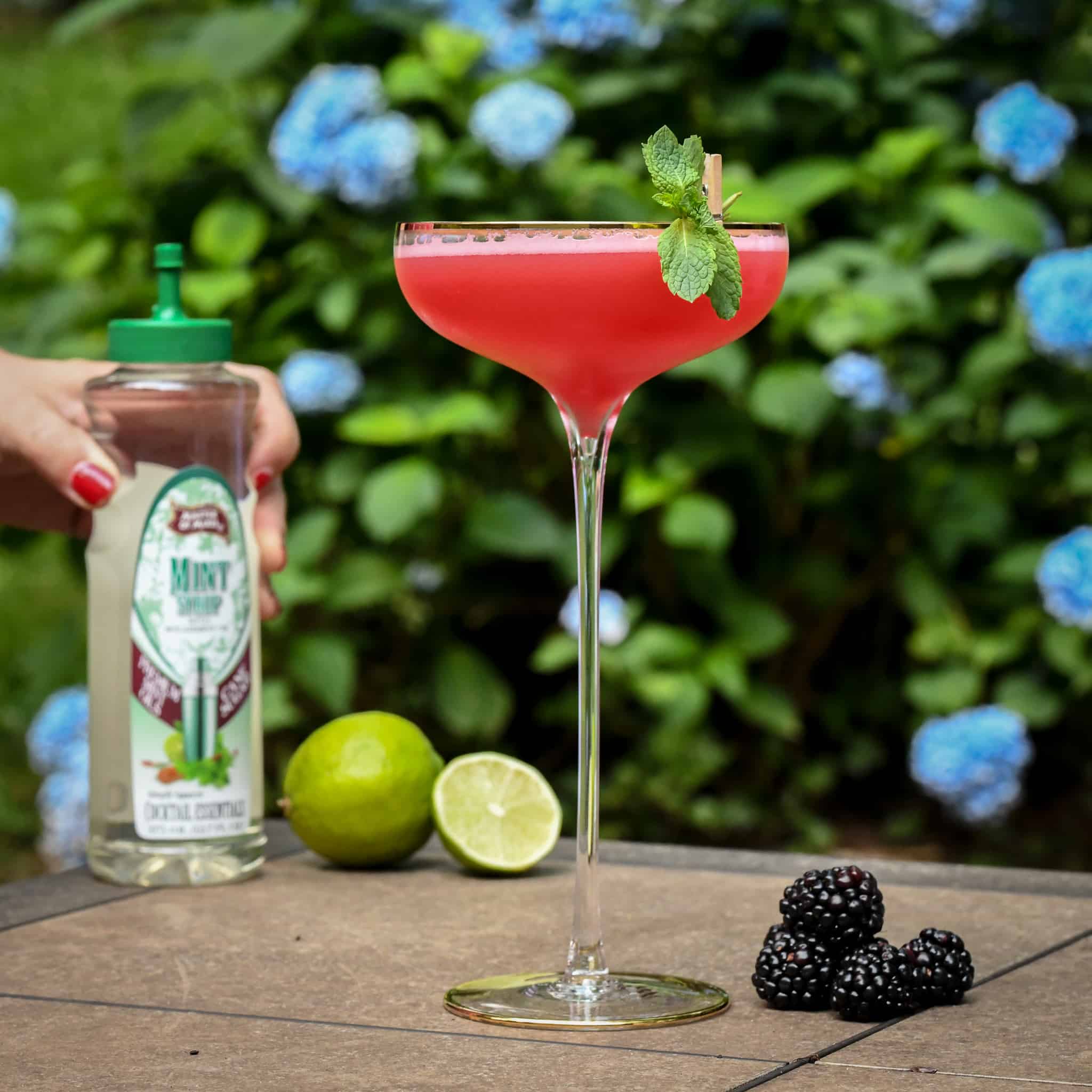 Blackberry Mint Gimlet Beautiful Booze; Stylish Cocktails to Make at Home